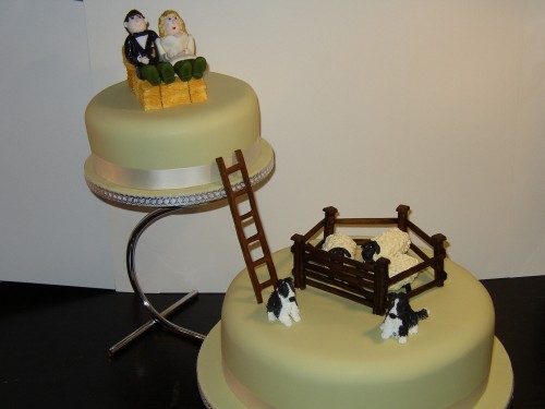 2 Tier Round Farming Inspired Wedding Cake