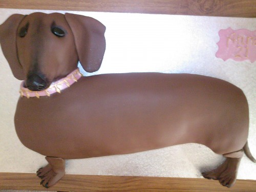 Sausage Dog Novelty Birthday Cake Sponge Poole Dorset