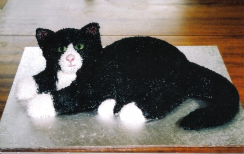 Black And White Novelty Cat Birthday Cake