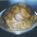 Novelty Tortoise Birthday Cake