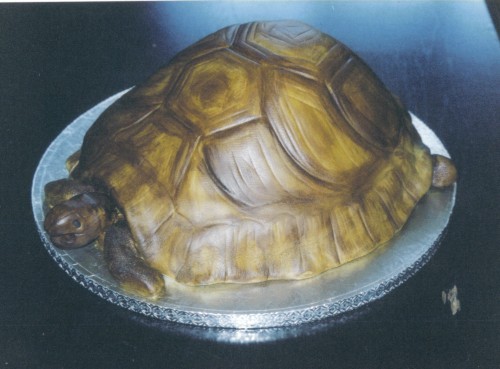 Novelty Tortoise Birthday Cake