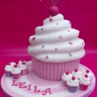 Giant Cupcake Novelty Birthday Cake