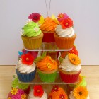 Vibrant and Floral Birthday Cupcakes