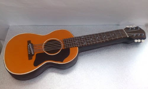 Acoustic Guitar Novelty Cake