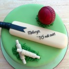 cricket themed novelty birthday cake