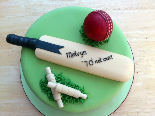 cricket themed novelty birthday cake