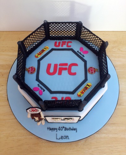 ufc themed novelty birthday cake