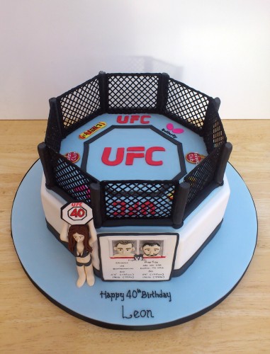 ufc themed novelty birthday cake
