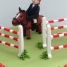 show jumping themed novelty birthday cake  thumbnail