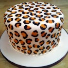 leopard print birthday cake with leopard print sponge