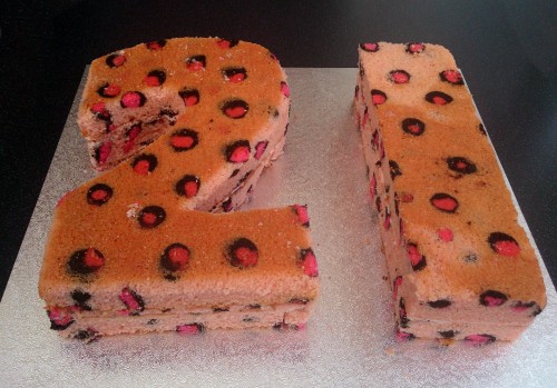 pink leopard print 21st birthday cake