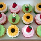 summer cupcakes