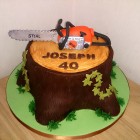 tree surgeon tree stump chain saw birthday cake