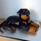 Rottie Dog Novelty Birthday Cake