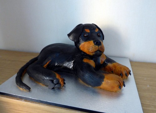 Rottie Dog Novelty Birthday Cake