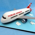 childs own airline aeroplane birthday cake