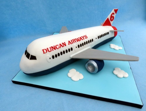 childs own airline aeroplane birthday cake