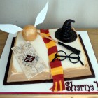 harry potter inspired book birthday cake