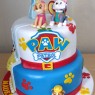 paw-patrol-and-elsa-frozen-and-belle-beauty-and-the-beast-half-and-half-cake thumbnail