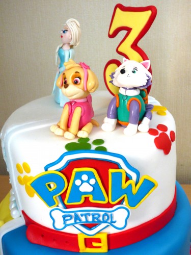 paw-patrol-and-elsa-frozen-and-belle-beauty-and-the-beast-half-and-half-cake
