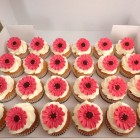 gerbera-cupcakes