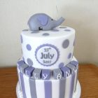2-tier-elephant-christening-birthday-cake