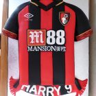 bournemouth-2018-19-shirt-cake