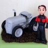 grey-fergie-tractor-farmer-themed-birthday-cake thumbnail