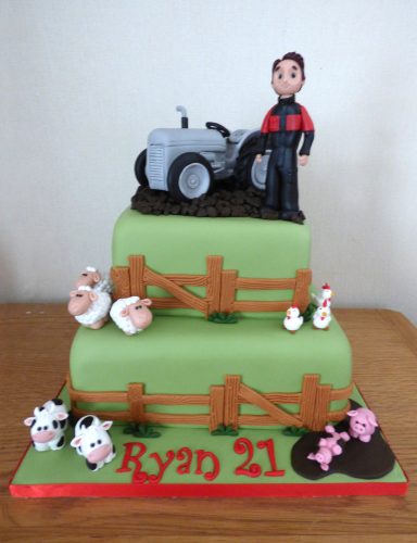 grey-fergie-tractor-farmer-themed-birthday-cake