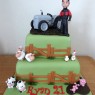 grey-fergie-tractor-farmer-themed-birthday-cake thumbnail