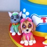 2-tier-paw-patrol-characters-birthday-cake-marshall-chase-rocky-rubble-skye-zuma thumbnail