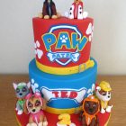 2-tier-paw-patrol-characters-birthday-cake-marshall-chase-rocky-rubble-skye-zuma