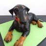 3d-dobermann-birthday-cake thumbnail