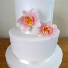 2-tier-moth-orchid-wedding-cake