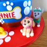 2-tier-paw-patrol-birthday-cake-marshall-chase-rubble-skye-rocky-zuma thumbnail