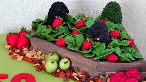 raised-strawberry-bed-with-dogs-and-produce-garden-birthday-cake