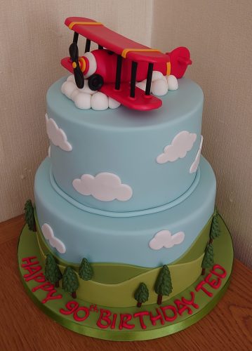 2 tier biplane enthusiasts birthday cake dorset